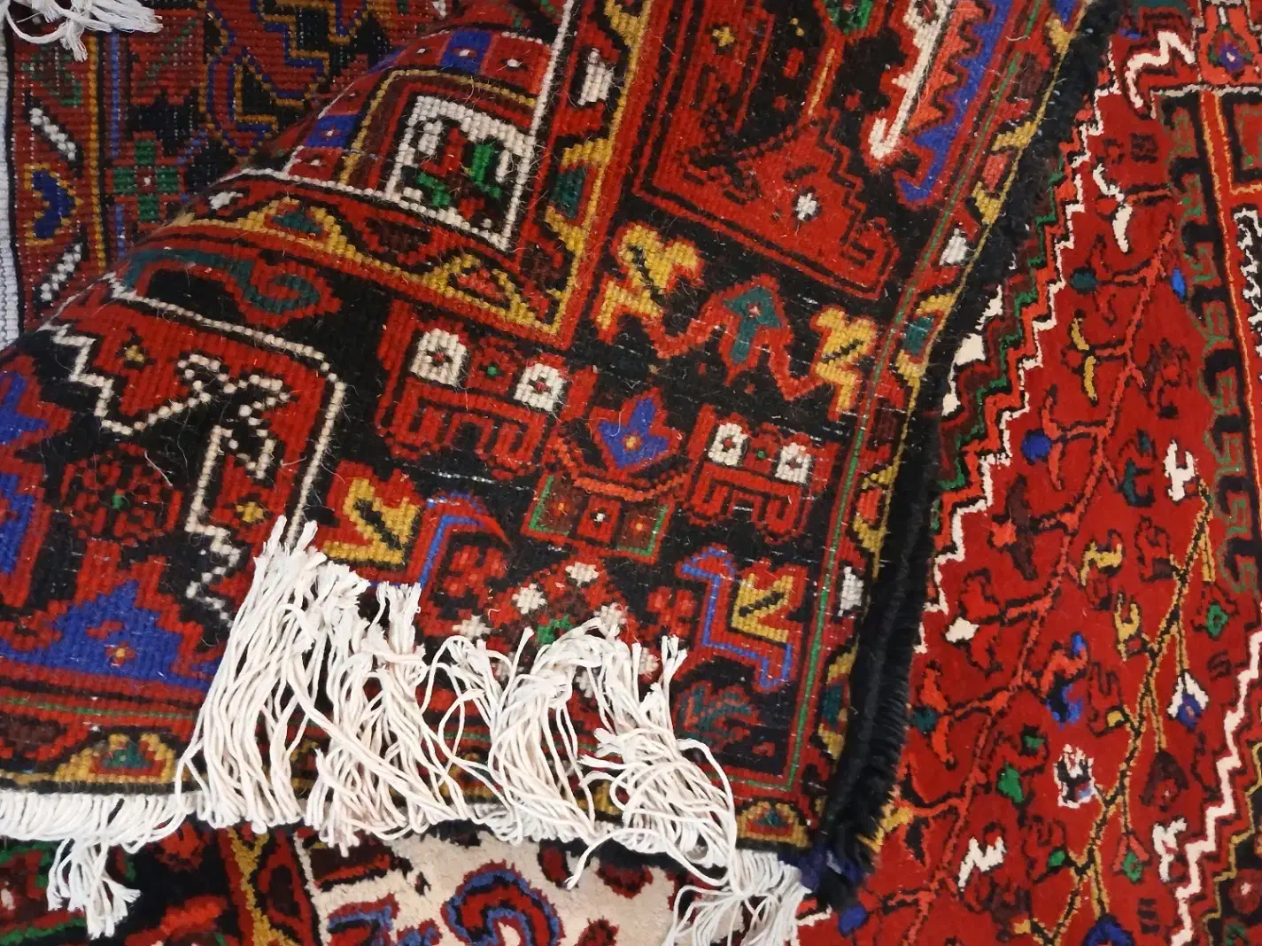 یک جفت فرش ۱۲ متری اصل نمرو|فرش|بناب, |دیوار