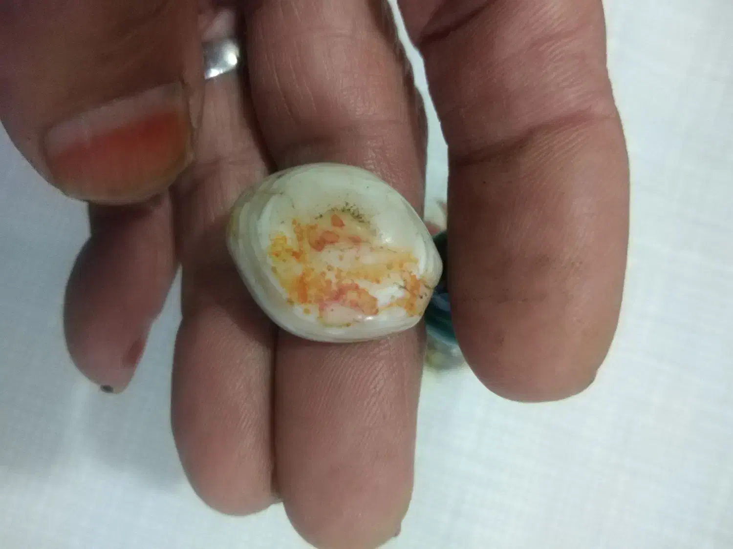 هنر باستانی|کلکسیون اشیاء عتیقه|بجنورد, |دیوار