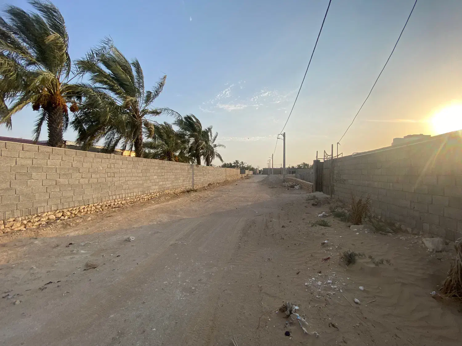 زمین مسکونی خونه باغ|فروش زمین و ملک کلنگی|دلوار, |دیوار