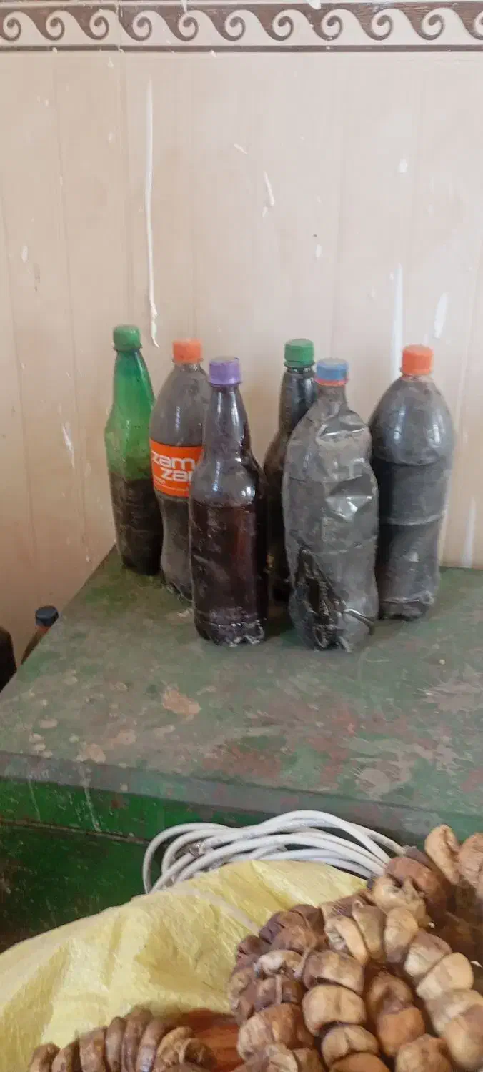 انجیر شیره انجیر|حراج|جیرفت, |دیوار