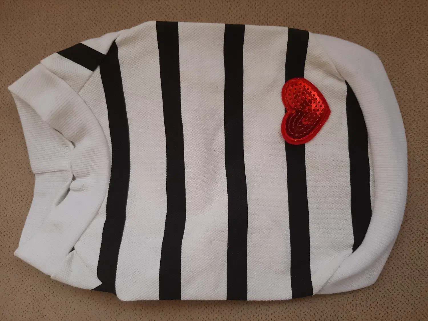 لباس و لوازم جانبی خارجی سگ|لوازم جانبی حیوانات|تهران, کرمان|دیوار