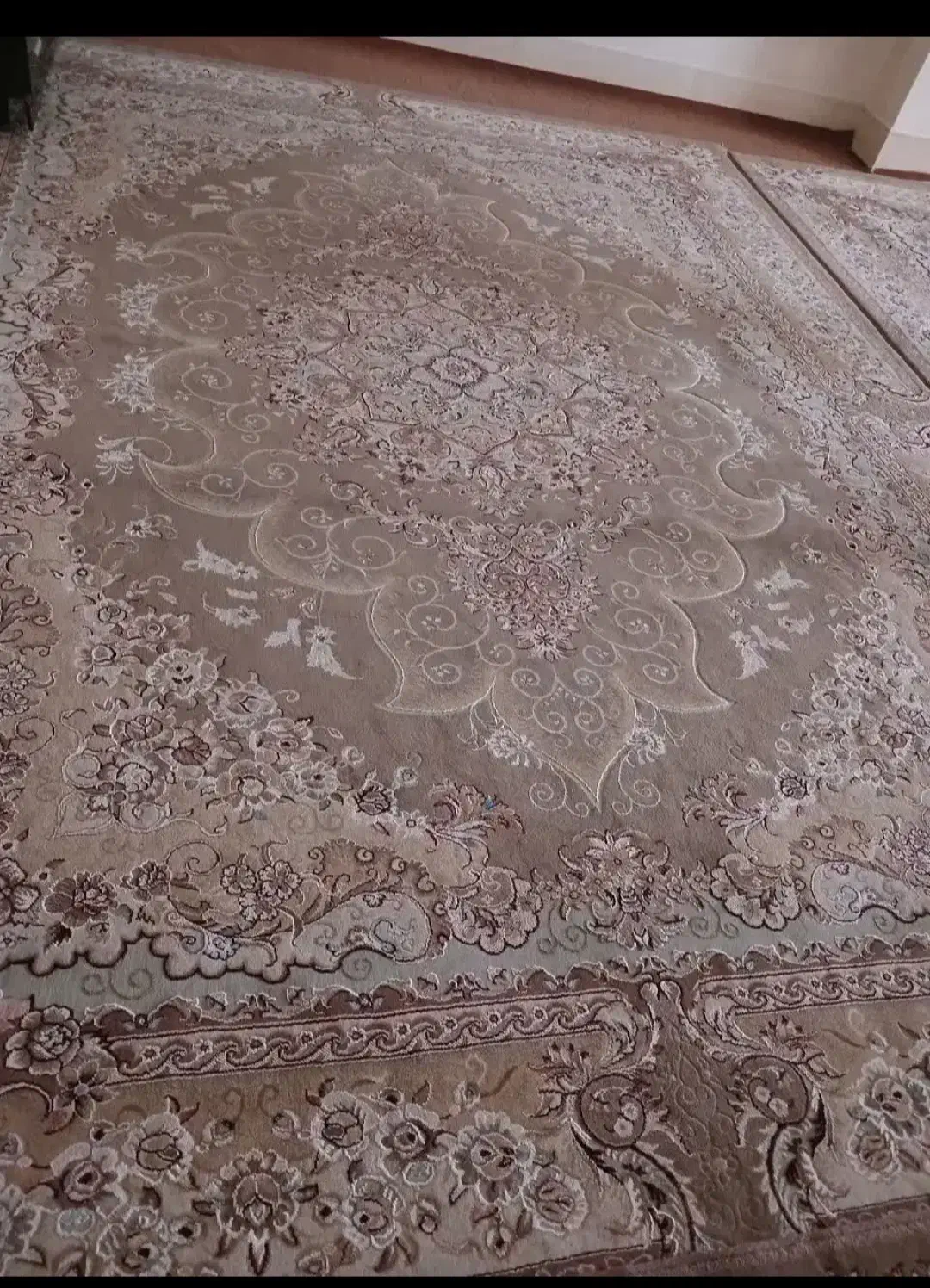 فرش 12متری|فرش|یاسوج, |دیوار