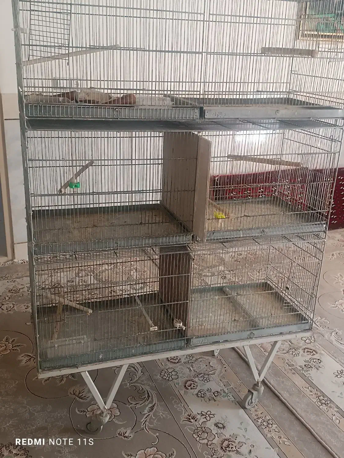 قفس|لوازم جانبی حیوانات|شاهرود, |دیوار