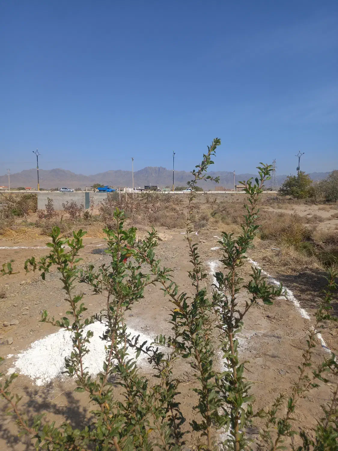 زمین واسه باغ ویلا|فروش دفتر صنعتی، کشاورزی، تجاری|کاشمر, |دیوار