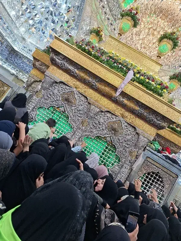 کربلا معلا هشت روز|تور و چارتر|قم, نوقطار|دیوار