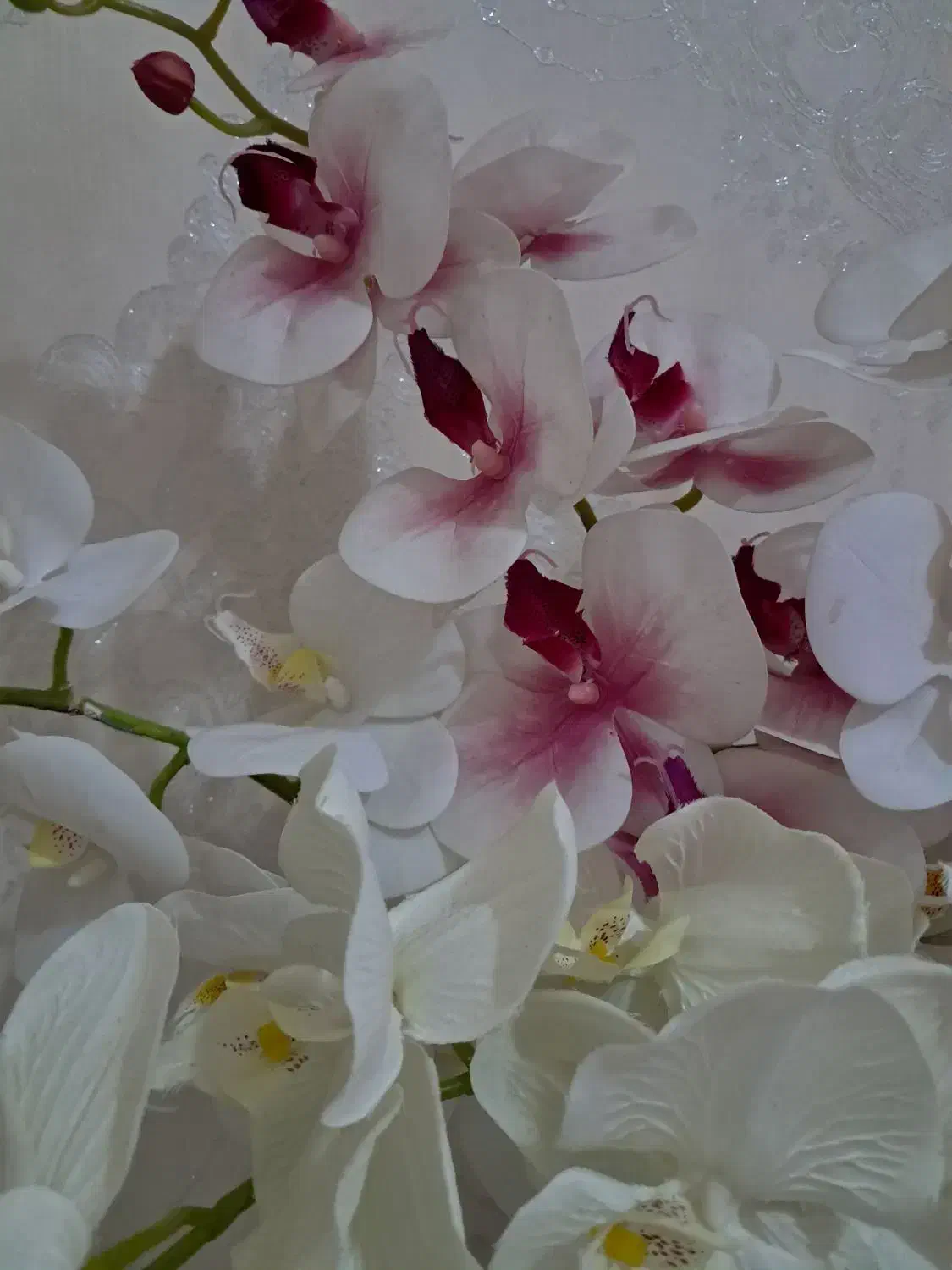 گل ارکیده و گلدان و تابلو و تزئینی|گل مصنوعی|شیراز, فرگاز|دیوار