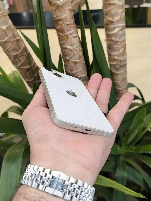 iphone13Normal 128CH لاکاغذی|موبایل|مشهد, بهشت|دیوار