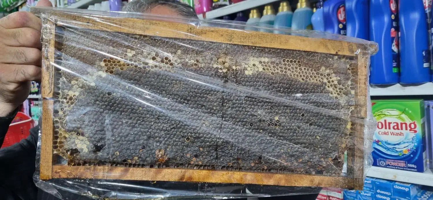 عسل طبیعی به شرط|خوردنی و آشامیدنی|رشت, معلولین|دیوار