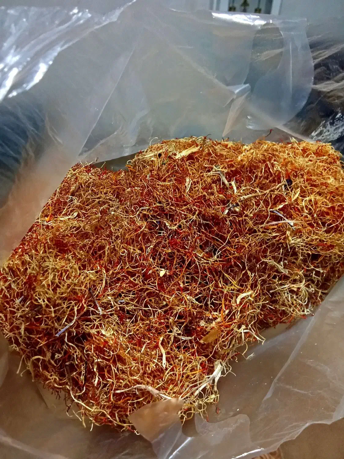 ریشه زعفران|خوردنی و آشامیدنی|مشهد, مهدی آباد|دیوار