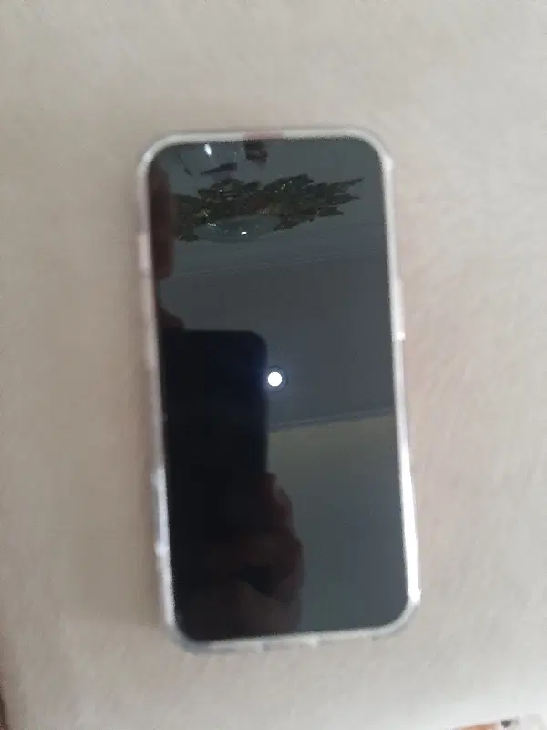 iphone 13|موبایل|اندیشه, اندیشه فاز ۱|دیوار