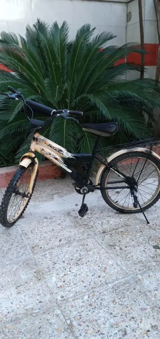 دوچرخه|دوچرخه، اسکیت، اسکوتر|رشت, جهاد|دیوار