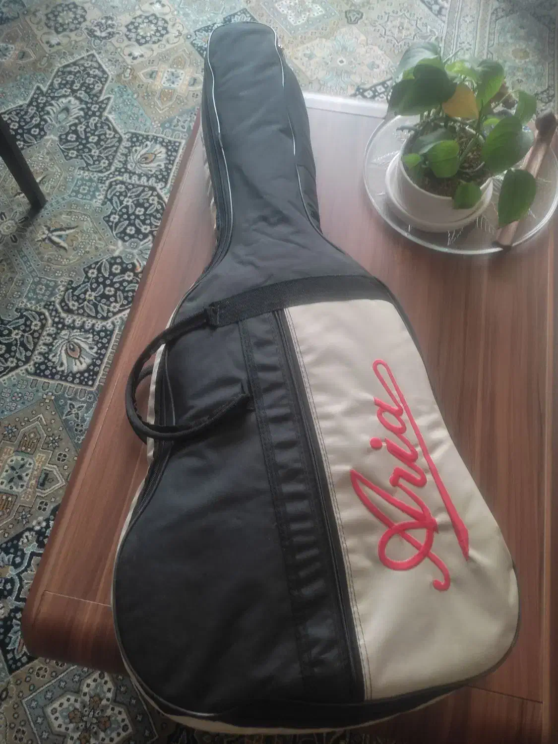 کیف گیتار|گیتار، بیس، امپلیفایر|شهرکرد, |دیوار