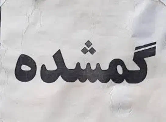 گردنبد طلا گمشده اسم|جواهرات|اهواز, کیانپارس |دیوار