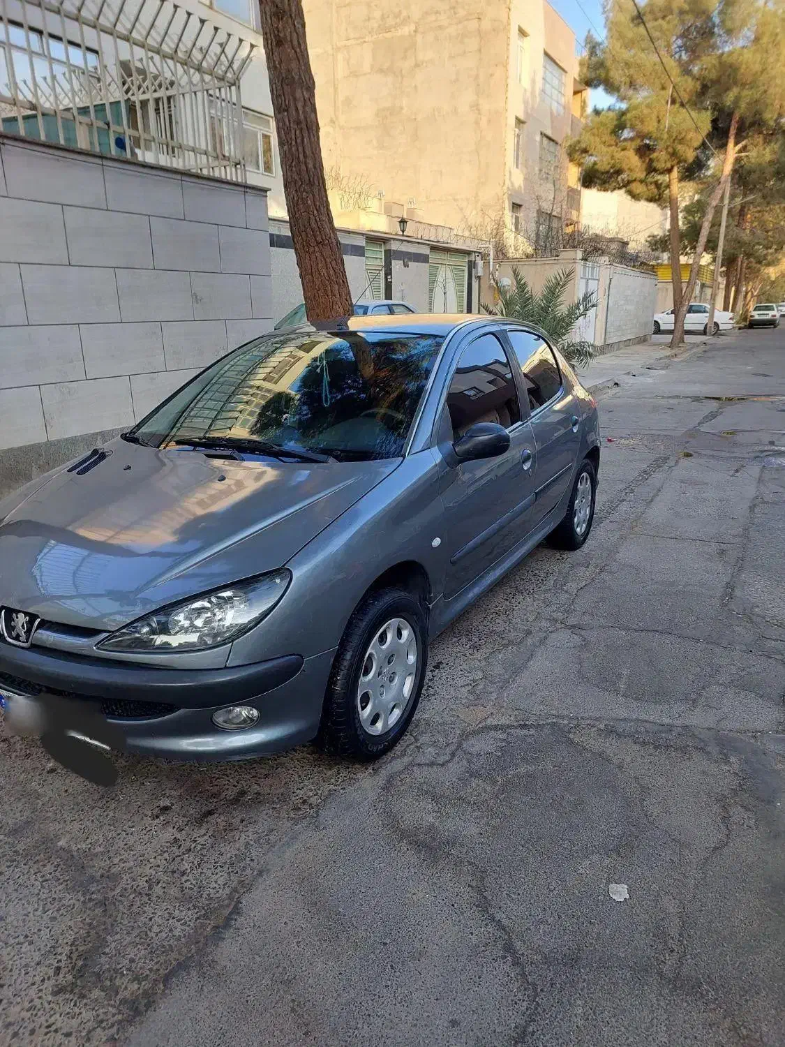 پژو ۲۰۶ تیپ ۲|خودرو سواری و وانت|بیرجند, |دیوار