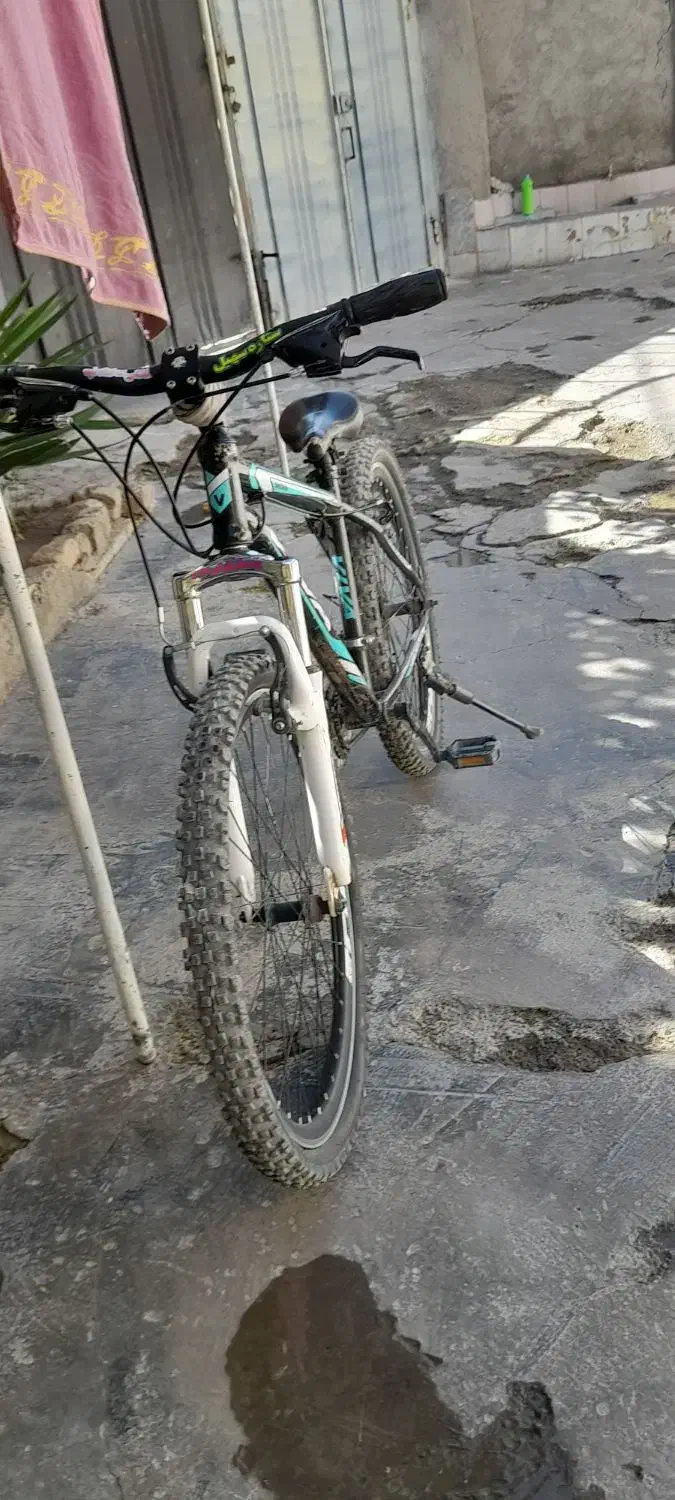 دوچرخه ۲۶|دوچرخه، اسکیت، اسکوتر|خزل, |دیوار