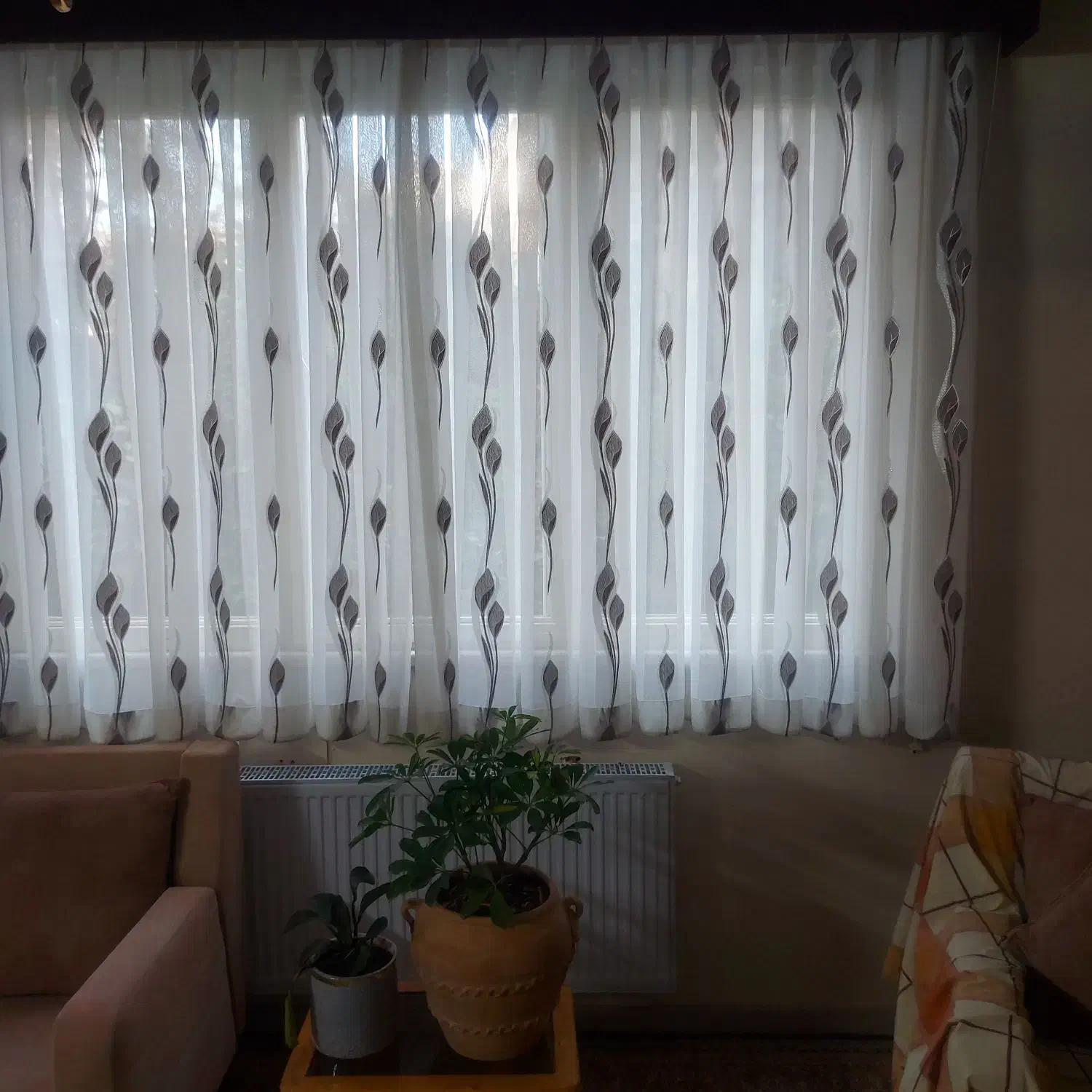 پرده|پرده، رانر، رومیزی|شیراز, چنچنه|دیوار