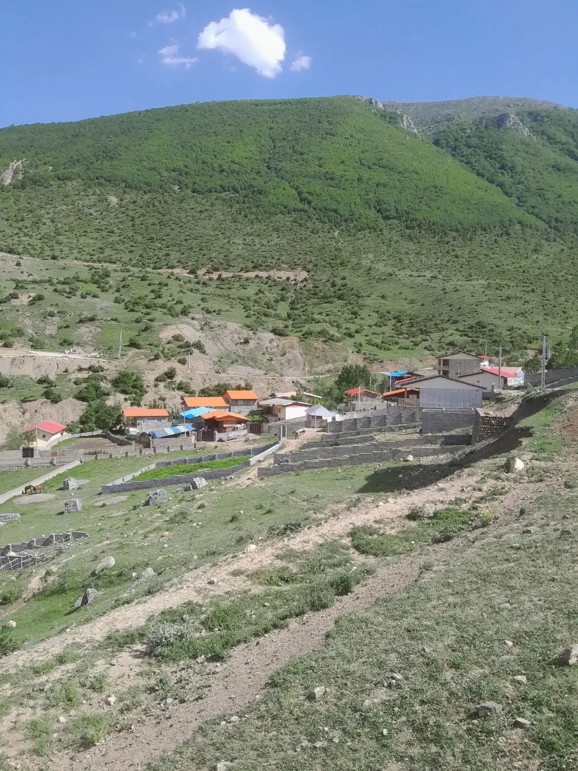 زمین سوادکوه روستای ییلاقی تیلم|فروش زمین و ملک کلنگی|آلاشت, |دیوار