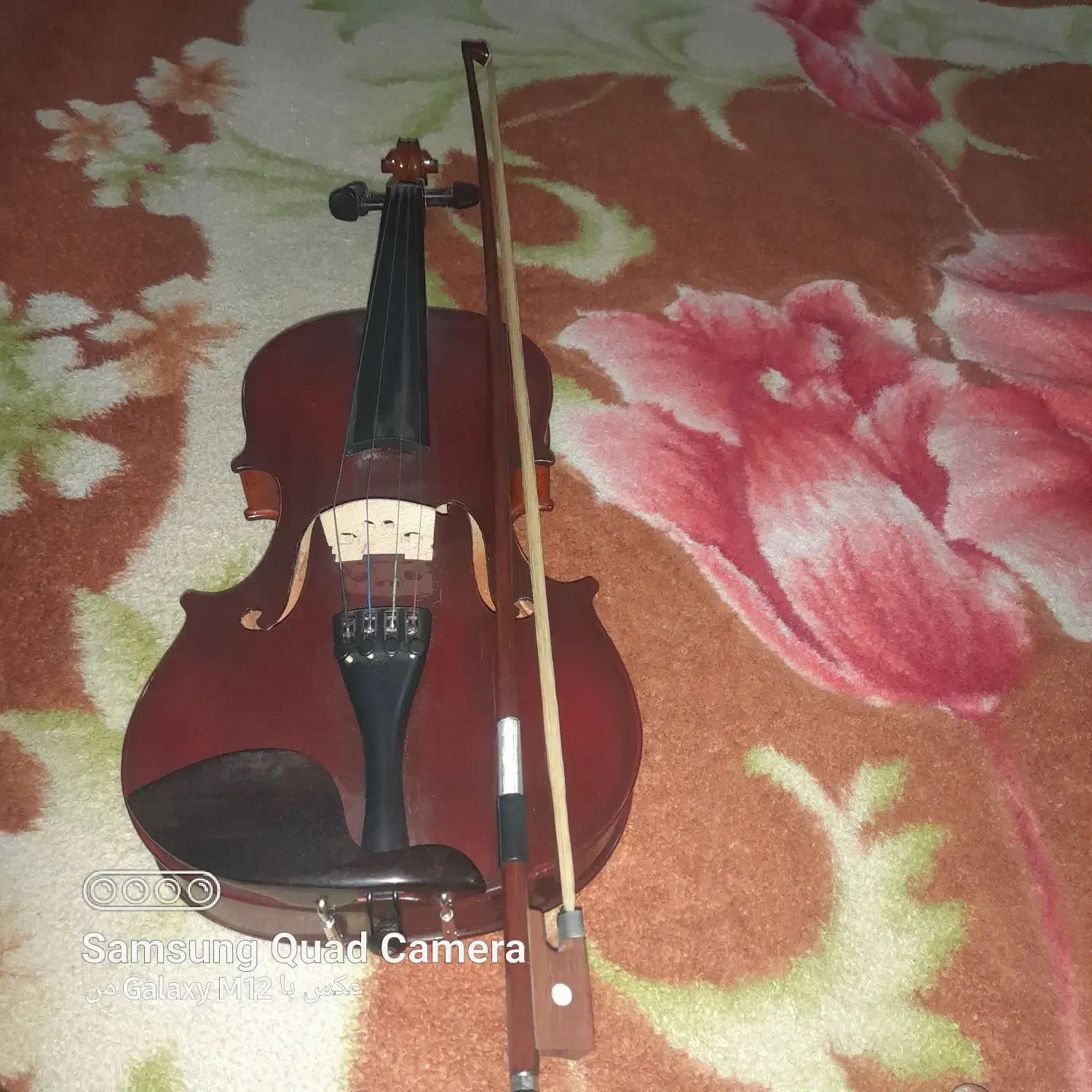 ویا‌لون‌حرفه‌ای‌ابنوس‌|ویولن|ارومیه, |دیوار