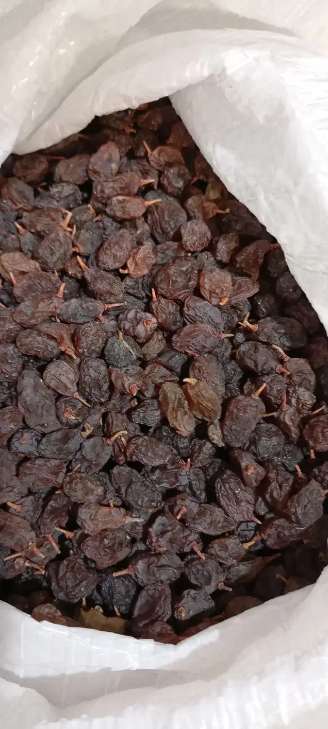 کشمش آفتابی|خوردنی و آشامیدنی|ملایر, |دیوار