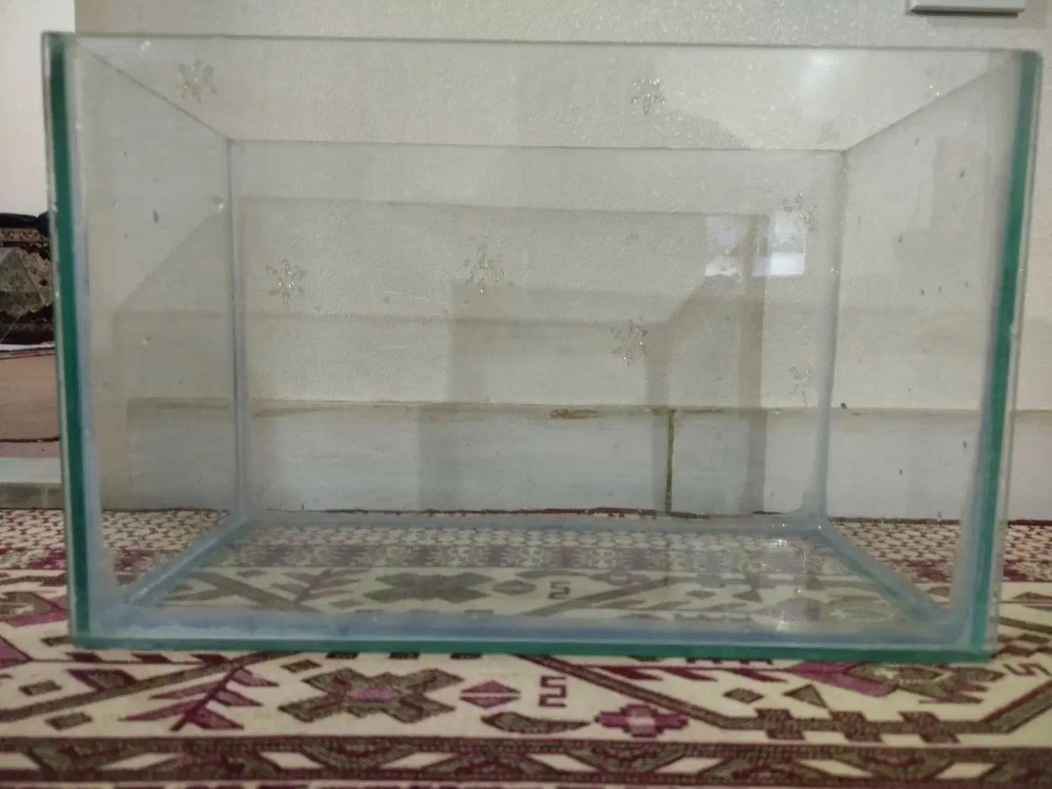 آکواریوم|ماهی|قزوین, |دیوار