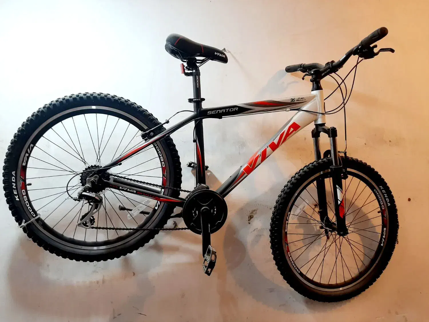 دوچرخه ویوا تایوان اصل اک|دوچرخه، اسکیت، اسکوتر|کارون, |دیوار