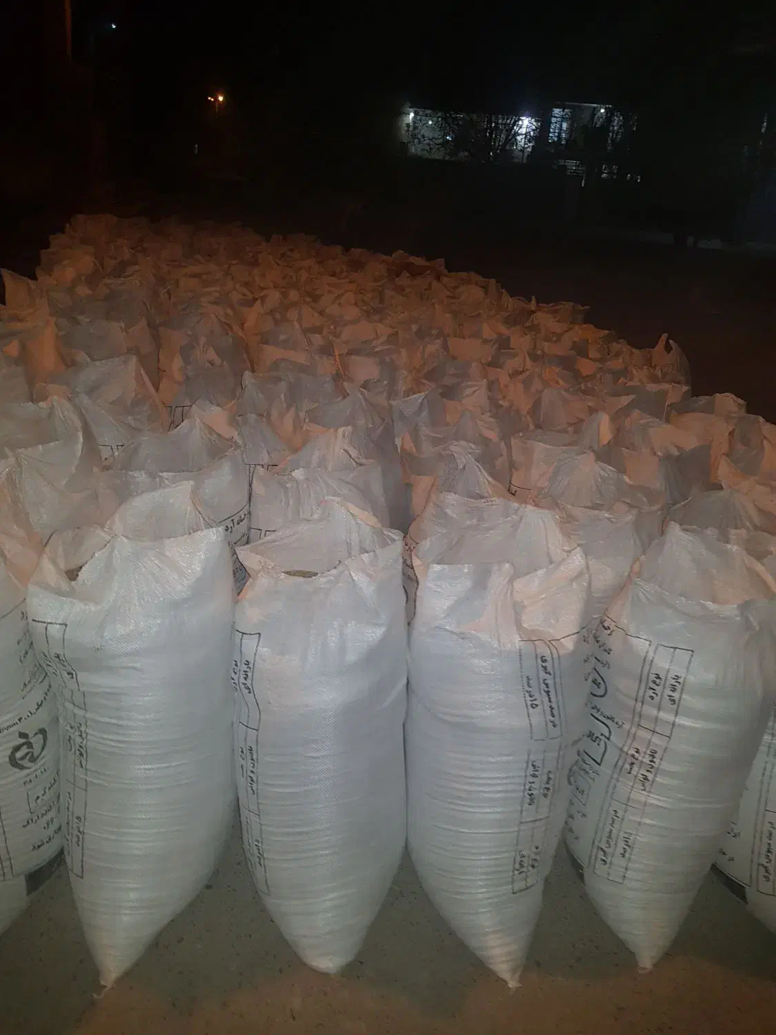 جو خارجی|خدمات باغبانی و درختکاری|بروجرد, |دیوار