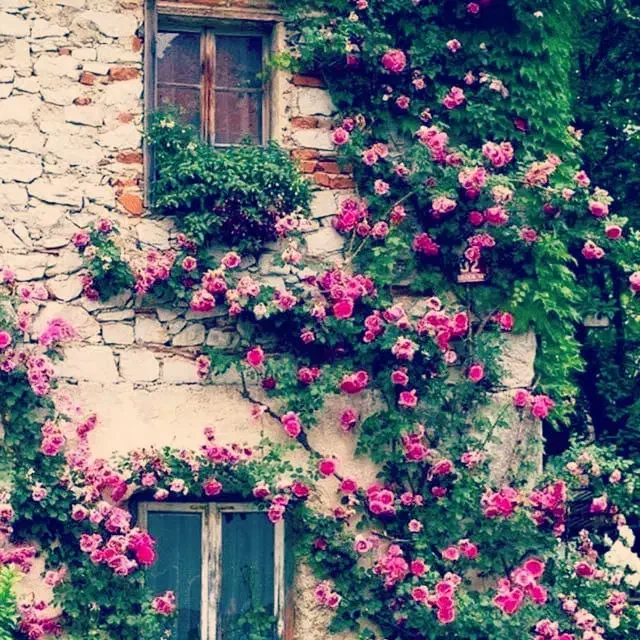 آپارتمان ۵۰ متری فرهنگیان بزرگمهرجنوبی|اجارهٔ آپارتمان|نیشابور, بزرگمهر|دیوار