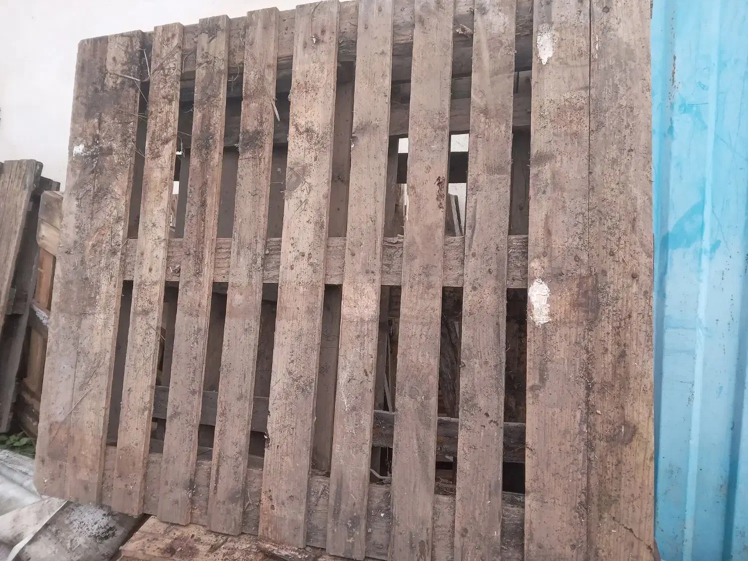 پالت نرادتمیز|خدمات پیشه و مهارت|لاهیجان, لیالستان|دیوار