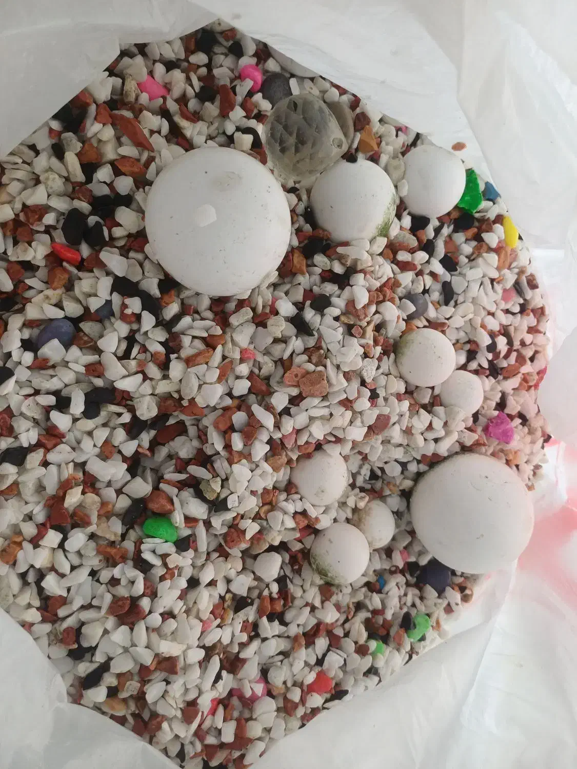 وسایل آکواریوم|ماهی|قزوین, |دیوار