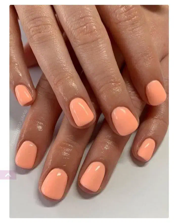 کاشت ناخن تخفیف ۱۹۸تومن بالاک‌ ژل سه سال سابقه|خدمات آرایشگری و زیبایی|قرچک, زیبا شهر|دیوار