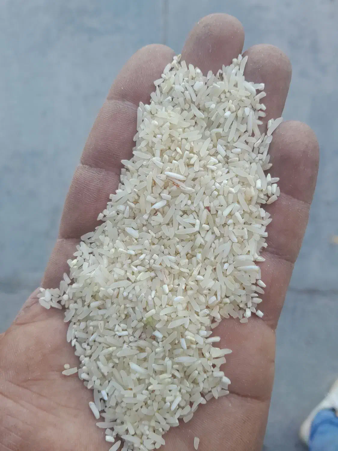 سرلاشه فجر|خوردنی و آشامیدنی|سنگدوین, |دیوار