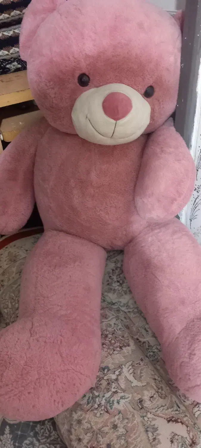 درحد نو|اسباب‌‌بازی|نورآباد, |دیوار