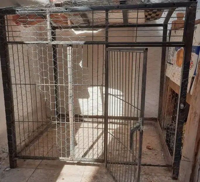 قفس پرنده|لوازم جانبی حیوانات|فردیس, قریشی|دیوار