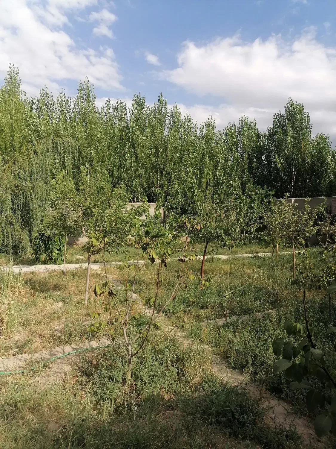 مشارکت در ساخت ویلا|مشارکت در ساخت املاک|بستان آباد, |دیوار