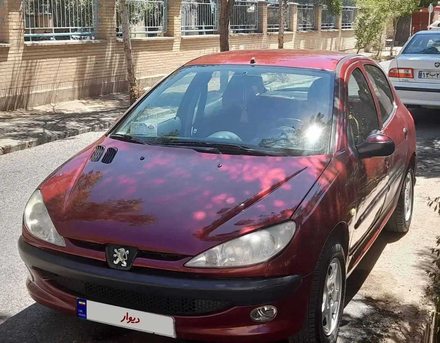 پژو ۲۰۶ مدل ۸۱|خودرو سواری و وانت|مشهد, تربیت (صدف)|دیوار