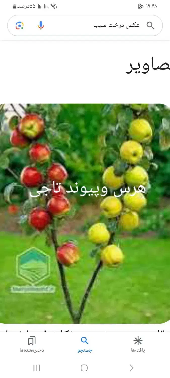 خدمات باغبانی حرس وبیل زنی دور درختان|خدمات باغبانی و درختکاری|زنجان, |دیوار