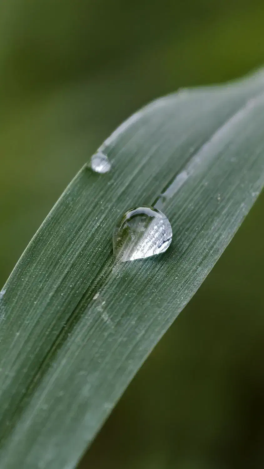 vivo x200pro گوشی دوربین محور|موبایل|چابهار, |دیوار