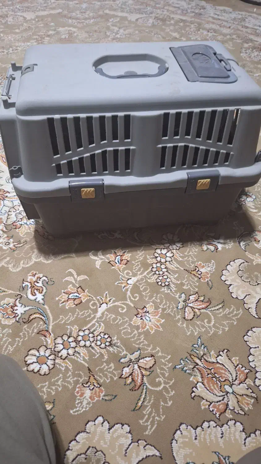 قفس و باکس سگ گربه|لوازم جانبی حیوانات|اصفهان, قهجاورستان|دیوار