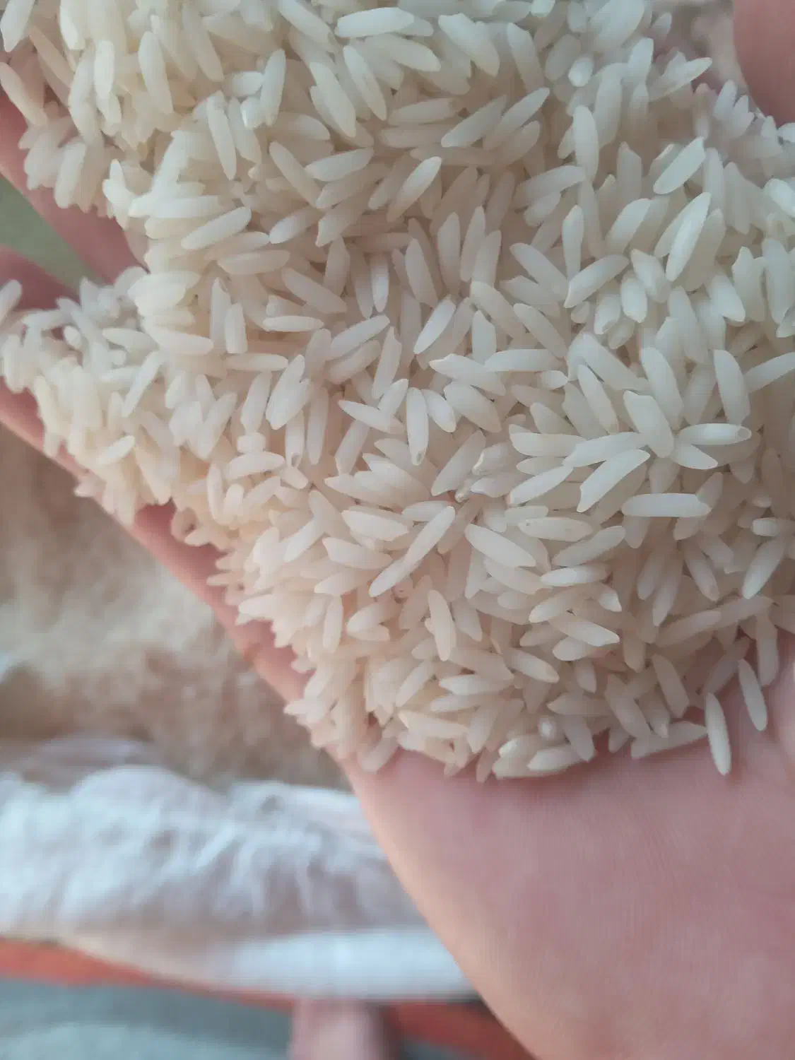 برنج کشت اول و دوم   با بهترین کیفیت ۲۸۰و۳۱۰|خوردنی و آشامیدنی|فریدون‌کنار, |دیوار