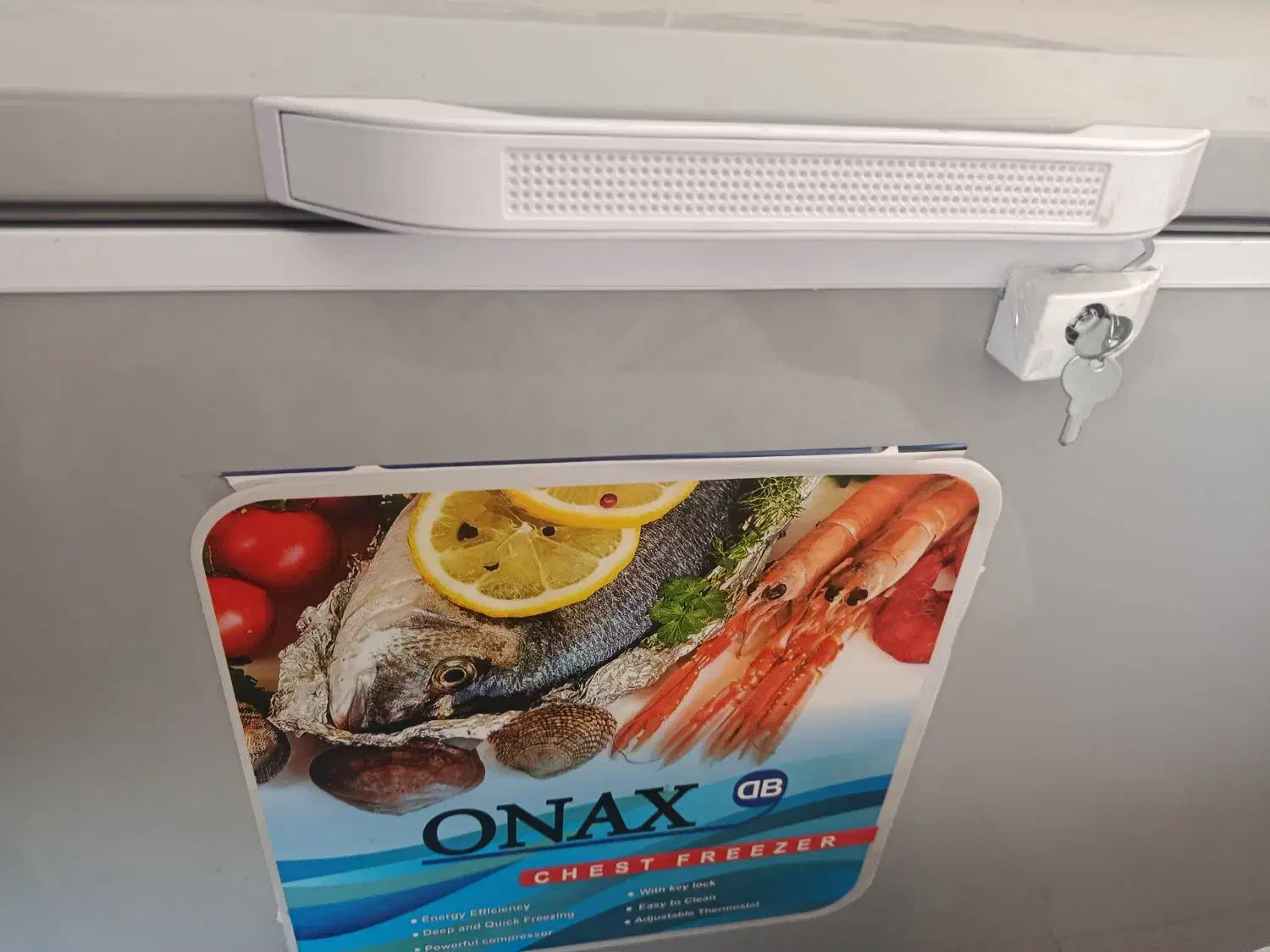 فریزرصندوقی ویخچال ایستاده|یخچال و فریزر|زرند, |دیوار