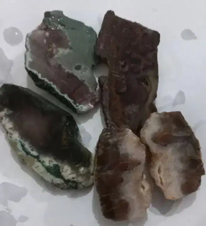 پک ۵تایی شجر و عقیق سلیمانی|کلکسیون اشیاء عتیقه|کرمان, |دیوار