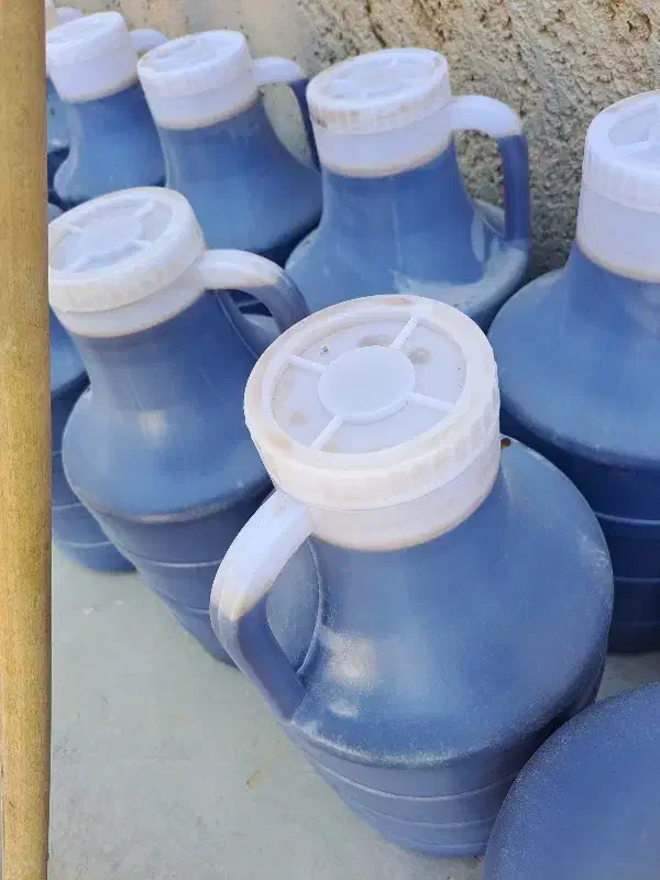 شیره تازه خرما امسال حدود ۴۵۰کیلو|خوردنی و آشامیدنی|وحدتیه, |دیوار