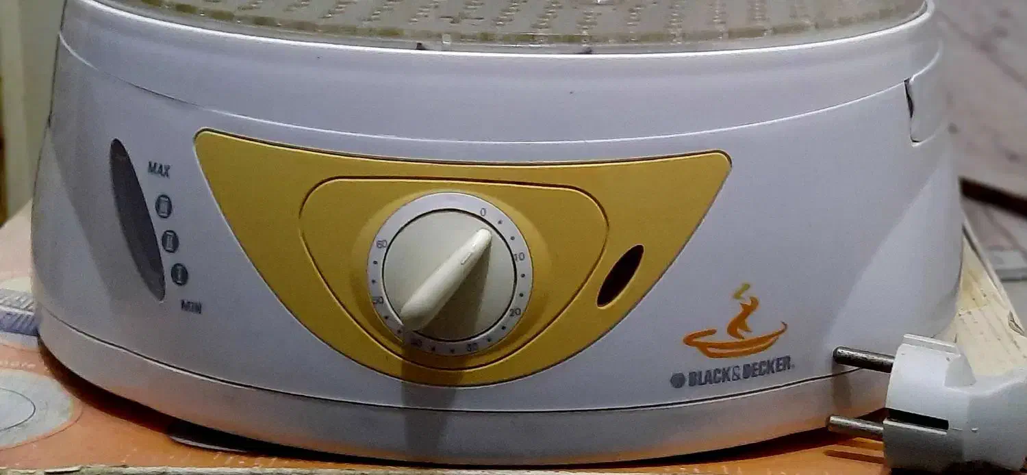 بخار پز|سایر لوازم برقی|کرمانشاه, |دیوار