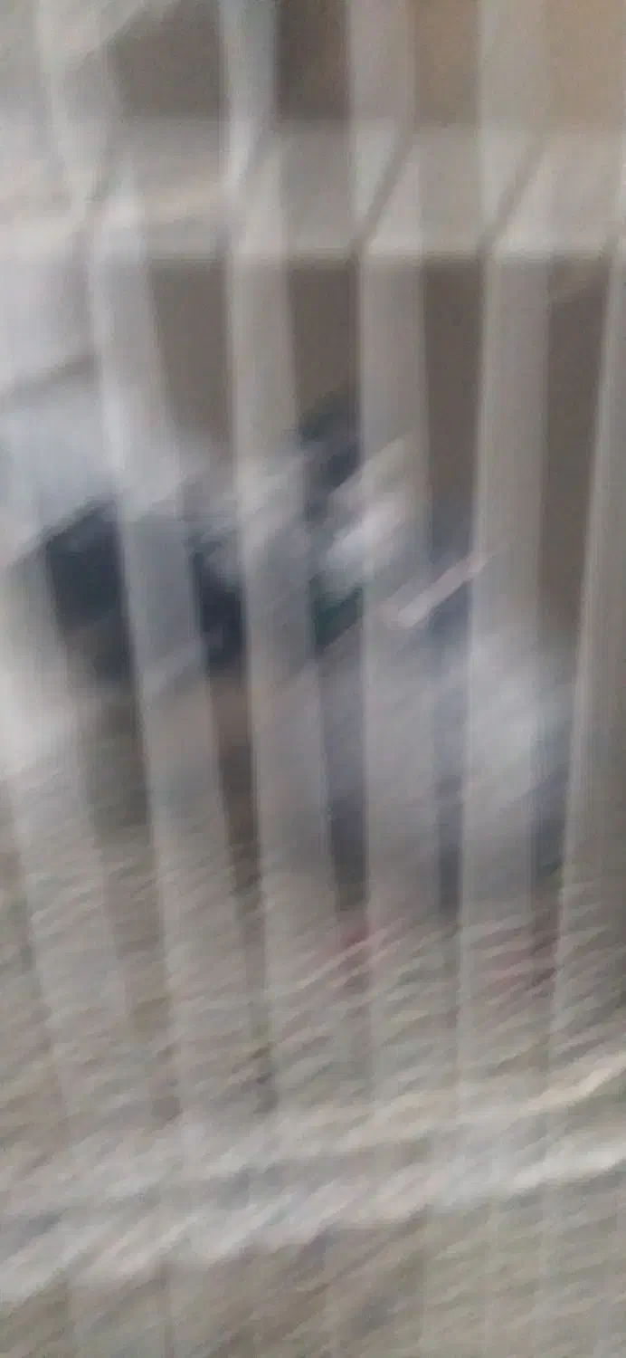 همه جفتی به شرط پرش وجوجه|پرنده|شیروان (خراسان), |دیوار