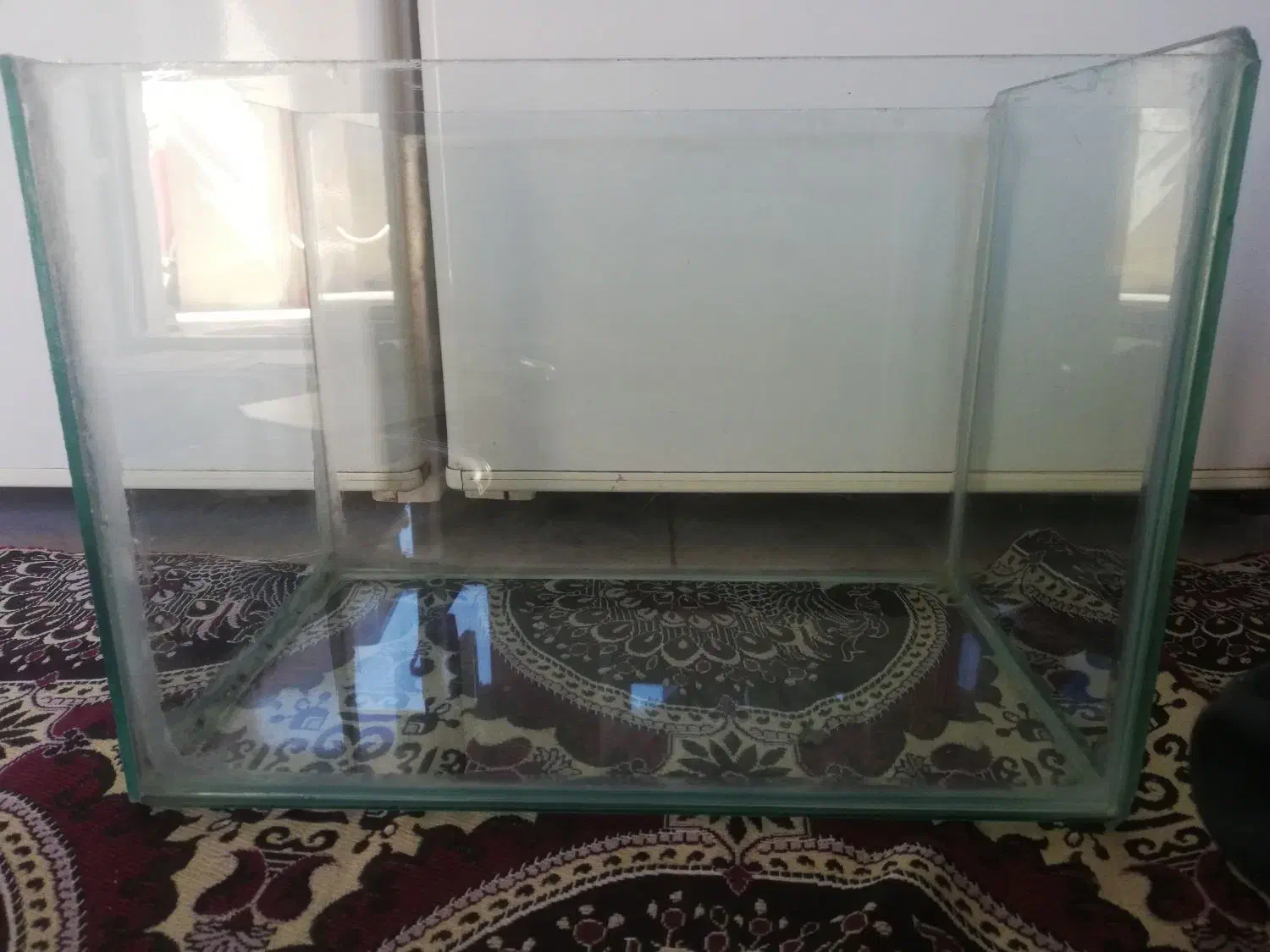 آکواریوم|ماهی|سقز, |دیوار