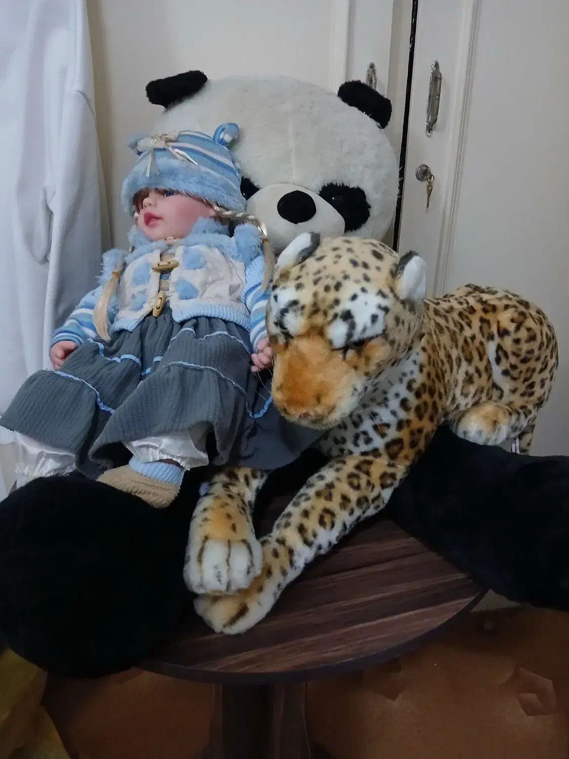 عروسک|اسباببازی|رشت, لاکانی|دیوار