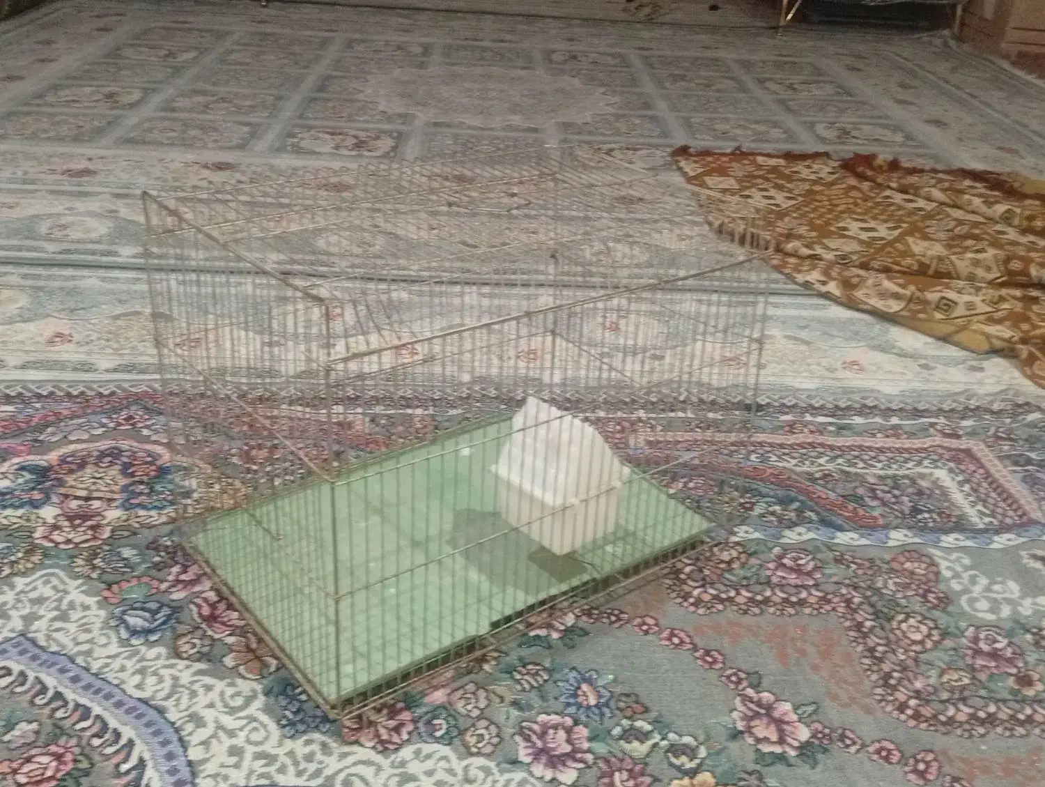 سالم به شرط نونو|لوازم جانبی حیوانات|لیکک, |دیوار