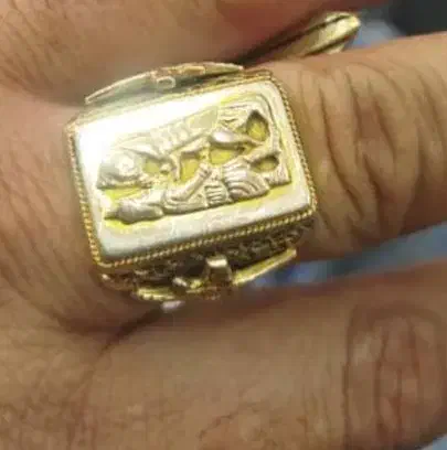 طلا|جواهرات|صدرا-فارس, فاز ۱|دیوار