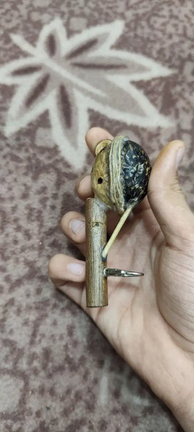 فولوت دست ساز|سازهای بادی|خمینی‌شهر, |دیوار