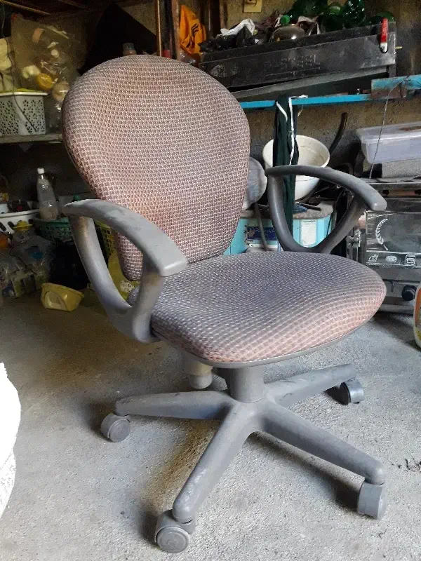 صندلی چرخدار|صندلی و نیمکت|مینودشت, |دیوار